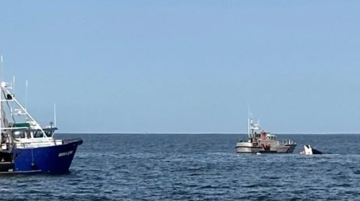 Captain Missing After Fishing Vessel Sinks Off Grays Harbor 美国华盛顿州海域有船 ...
