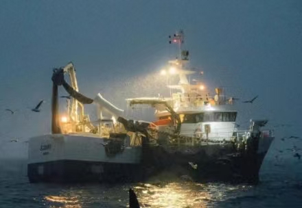 Suez Canal Transit: A Practical Guide to Lighting Requirements 苏伊士过河实操指南：灯具要求