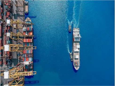 Beyond Physical Port Damage: Hidden Costs of Cargo-Flow Disruptions for Dry-Bulk and General-Cargo Ship-owners 港口不止硬件损坏：货流中断带来隐性成本，干散货与件杂货船东需警惕